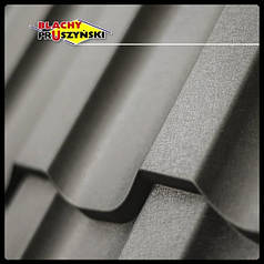 Металочерепиця REN  ⁇  0,5 мм  ⁇  RAL 7024  ⁇  PEMA  ⁇  Blachy Pruszynski  ⁇