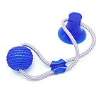 Багатофункціональна іграшка для собак канат на присоску з м'ячем, фото 4