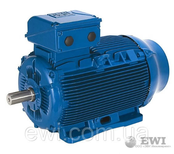Електродвигун WEG W22 80 2 0,75 кВт 3000 об./хв