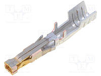 MX-172063-0311 Contact; female; 14÷16AWG; Mega-Fit; gold plated; crimped; tape