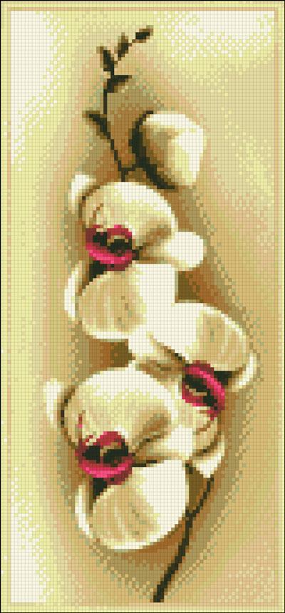 АМП-138. Орхідеї. Алмазна мозаїка 20х43см, фото 1