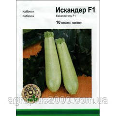 Насіння Кабачок Іскандер F1, 10 насіння Seminis Агропак