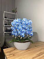 Латексная орхидея Premium в сером горшке лодочка на 3 веточек голубой 60см 0076