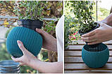 Набір горщиків для квітів, 3 шт., Cozies Herb Pot, фото 3