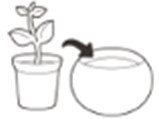 Набір горщиків для квітів, 3 шт., Cozies Herb Pot, фото 6