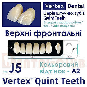 Зуби штучні акрилові п'ятому ятишарові шарові Vertex Quint (вертекс квінт), верхні фронтальні, тип зубів J5, A2