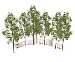 Дитячий мотузковий майданчик на деревах ЛАЗАЛКА, 10 конкурсів