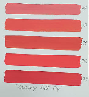Пігмент для татуажу губ Magic Cosmetic (Strong full lip) #73,10 мл, фото 2