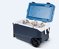 Изотермический контейнер на колесах MaxCold Latitude 90 Roller на 80 л пластик серый с синим (Time Eco TM)