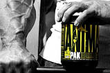 Комплекс вітамінів та мінералів Universal Animal Pak 369 г юніверсал анімал пак, фото 5