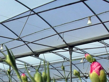 Багатошарова плівка для теплиць Sotrafa розсіювальна TRS з AK+IR+EVA 150 мкм 16 м, фото 1
