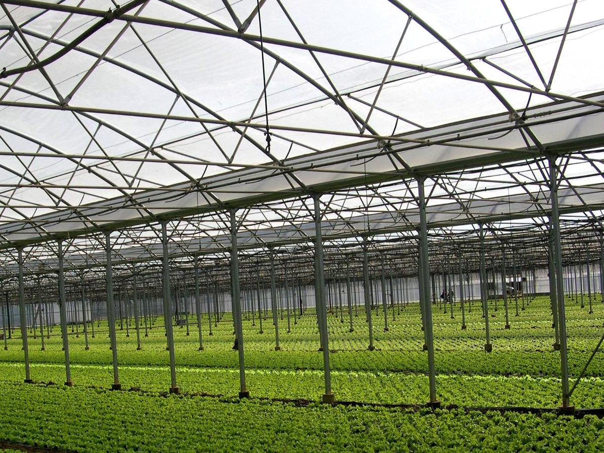 Багатошарова теплова плівка прозора Kritifil 2702 UV8 150 мкм 6 м