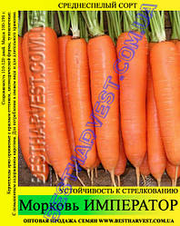 Насіння моркви «Імператор» 25 кг (мішок)