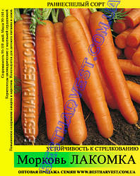 Насіння моркви "Ласунка" 1 кг