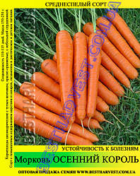 Насіння моркви «Осінній Король» 25 кг (мішок)