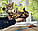 Дівчинка бенгал, ін. 28.10.2020. Бенгальські кошенята з розплідника Royal Cats. Україна, Київ, фото 6