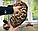 Дівчинка бенгал, ін. 28.10.2020. Бенгальські кошенята з розплідника Royal Cats. Україна, Київ, фото 5