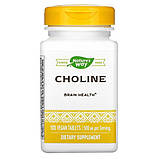 Холін 500 мг 100 таб для мозку нервової системи печінки Nature's Way USA, фото 3