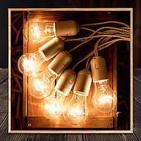 Белая Ретро Гирлянда Эдисона 5 метров + 2 метра провода к вилке на 10 лампочек накаливания