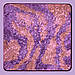Палетка тіней HUDA BEAUTY Pastel Obsessions Eyeshadow Palette Lilac 10 г, фото 7
