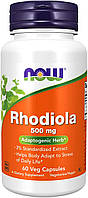 Родіола Now Foods Rhodiola 500 mg 60 капсул