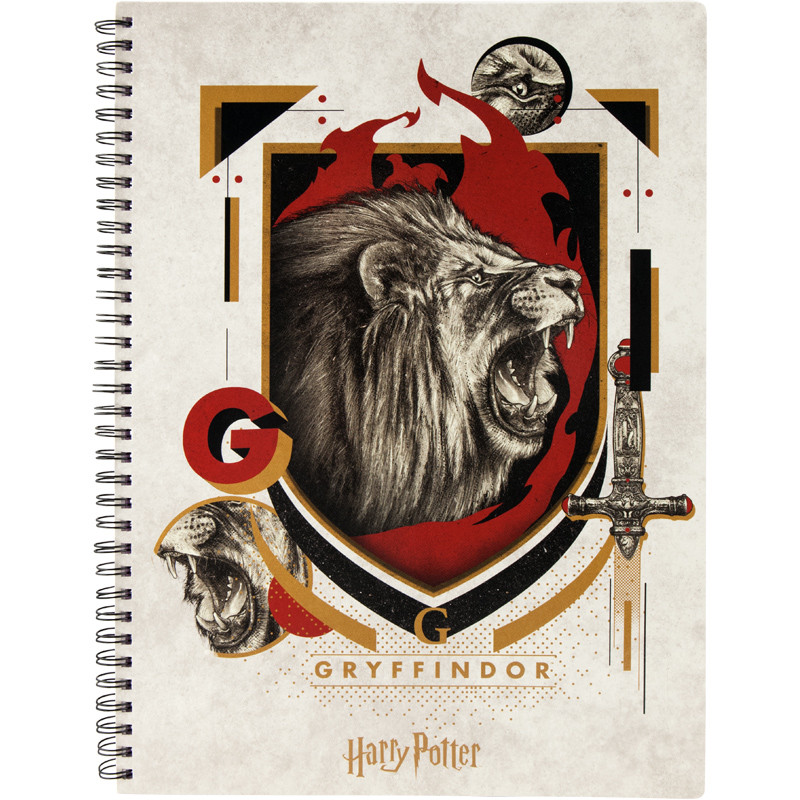 Коледж-блок Kite Harry Potter HP20-247-3, А4, 80 листов, клетка - фото 1 - id-p1104368500