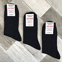 Шкарпетки чоловічі демісезонні гладкі бавовна Нік, Житомир, 29 розмір, чорні, 01952