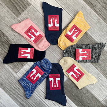 Шкарпетки жіночі демісезонні бавовна Нік, Житомир, 23 розмір, асорті, 01948