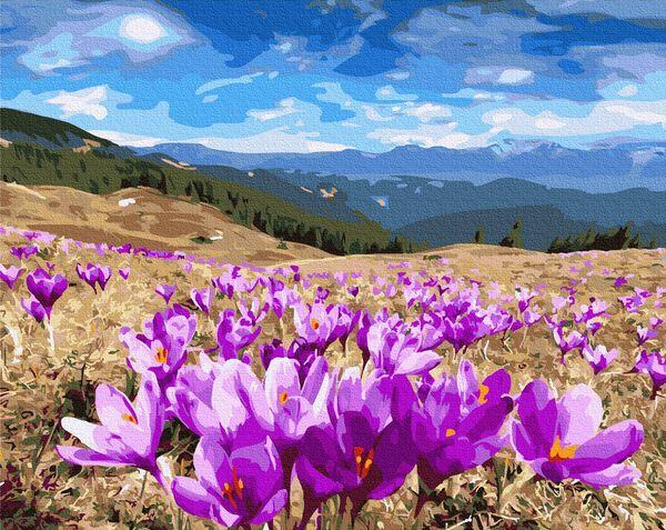 Картини за номерами 40х50 см Brushme Долина крокусів (GX 27318), фото 1
