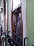 Вікна та двері дерев'яні Модерн, фото 2