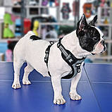 Шлея для собак iDog регулюється Комфорт і контроль під час кожної прогулянки, фото 5