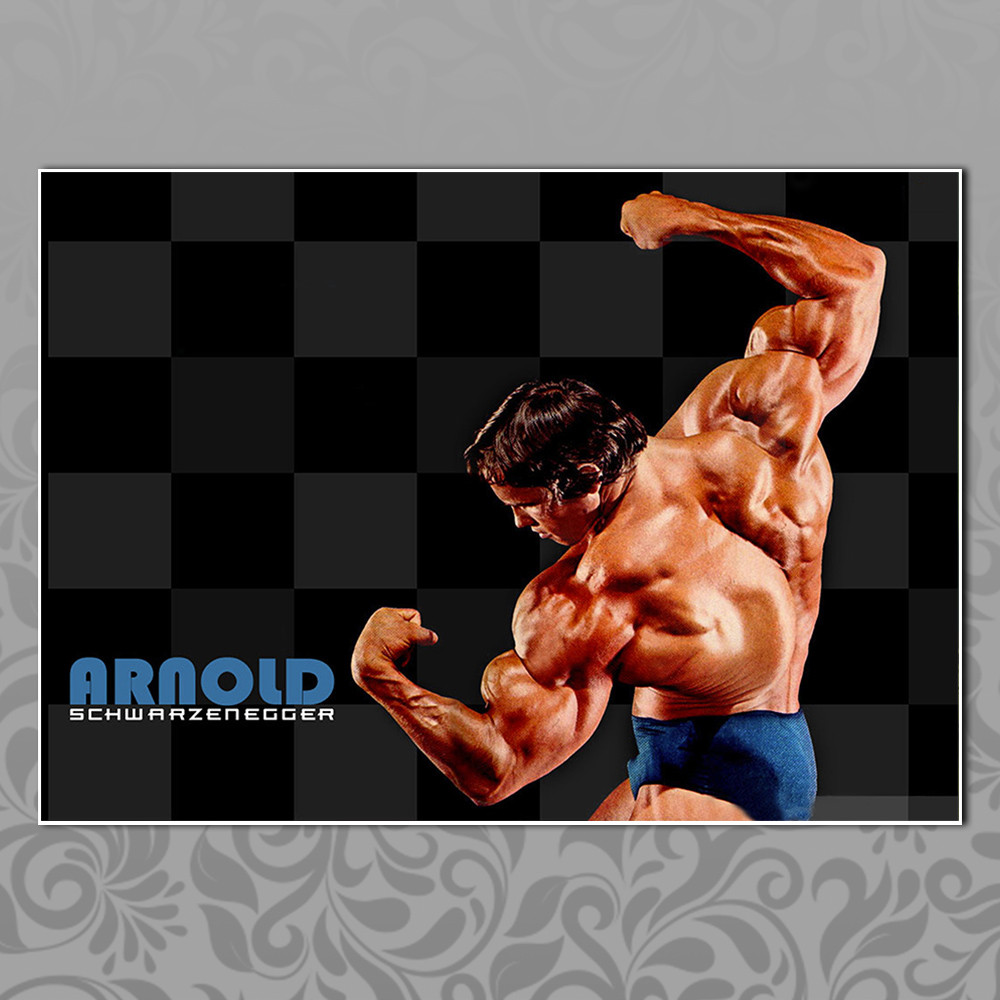 Плакат А3 Арнольд Шварценеггер 005, фото 1