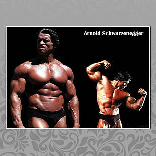 Плакат А3 Арнольд Шварценеггер 006