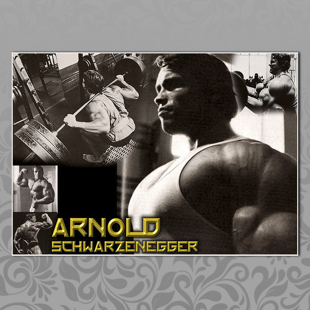 Плакат А3 Арнольд Шварценеггер 008, фото 1