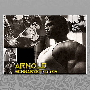 Плакат А3 Арнольд Шварценеггер 008