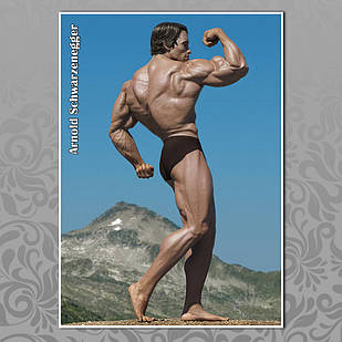 Плакат А3 Арнольд Шварценеггер 009