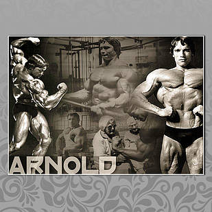 Плакат А3 Арнольд Шварценеггер 010
