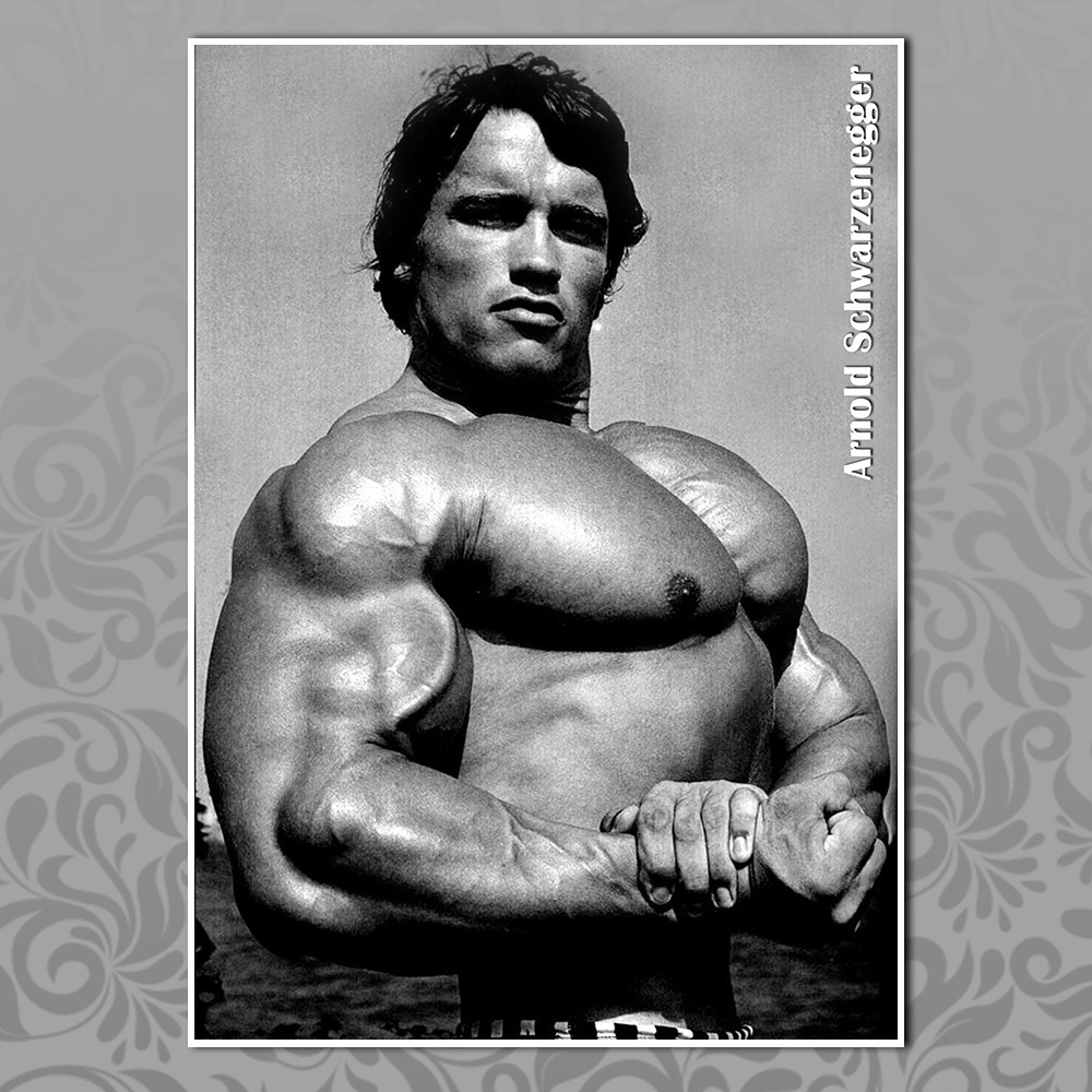 Плакат А3 Арнольд Шварценеггер 012, фото 1