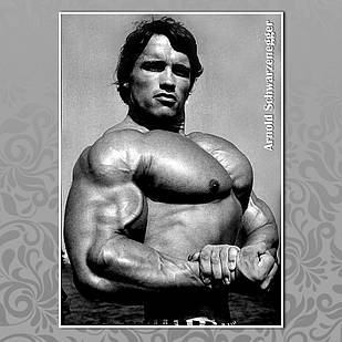 Плакат А3 Арнольд Шварценеггер 012