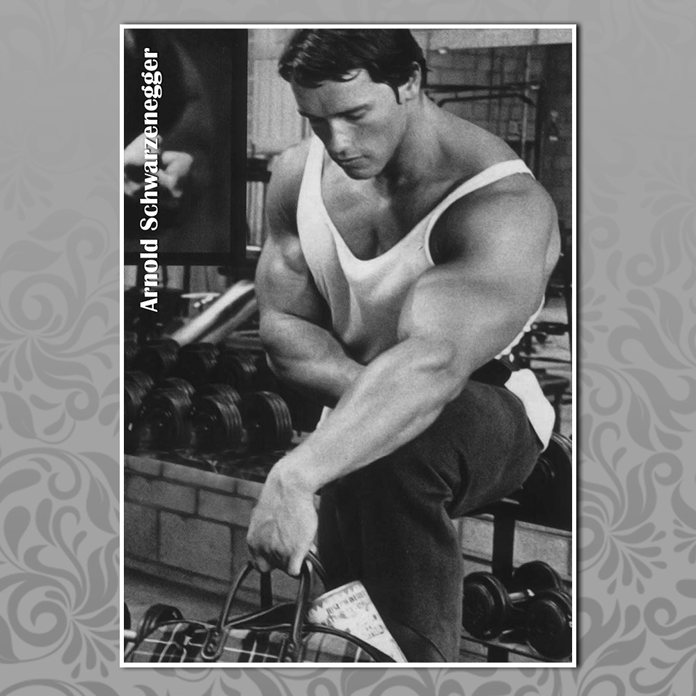 Плакат А3 Арнольд Шварценеггер 013, фото 1
