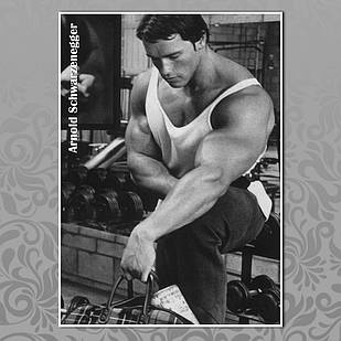 Плакат А3 Арнольд Шварценеггер 013