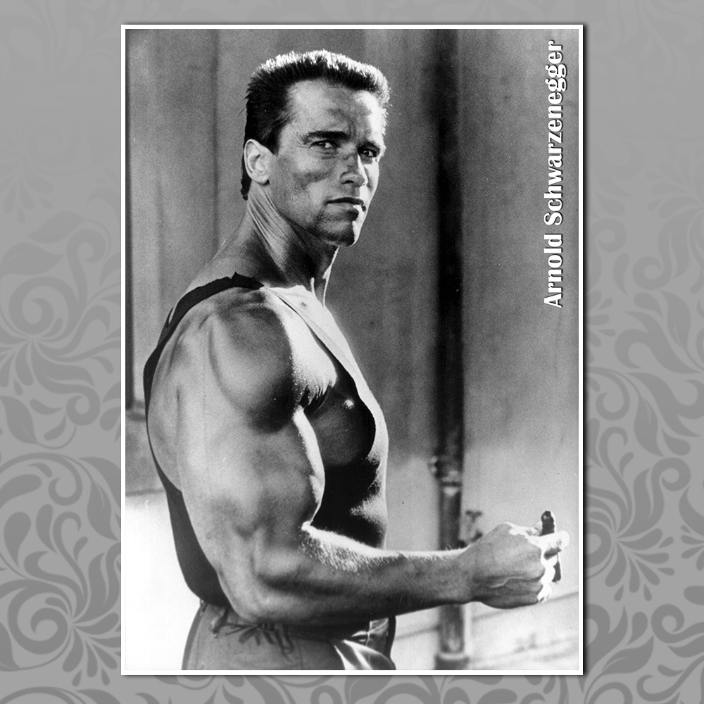 Плакат А3 Арнольд Шварценеггер 015, фото 1