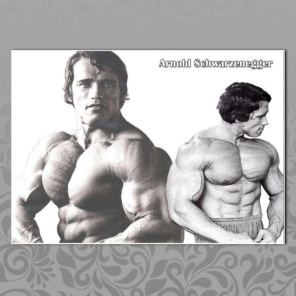 Плакат А3 Арнольд Шварценеггер 016, фото 1