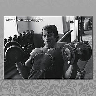 Плакат А3 Арнольд Шварценеггер 017