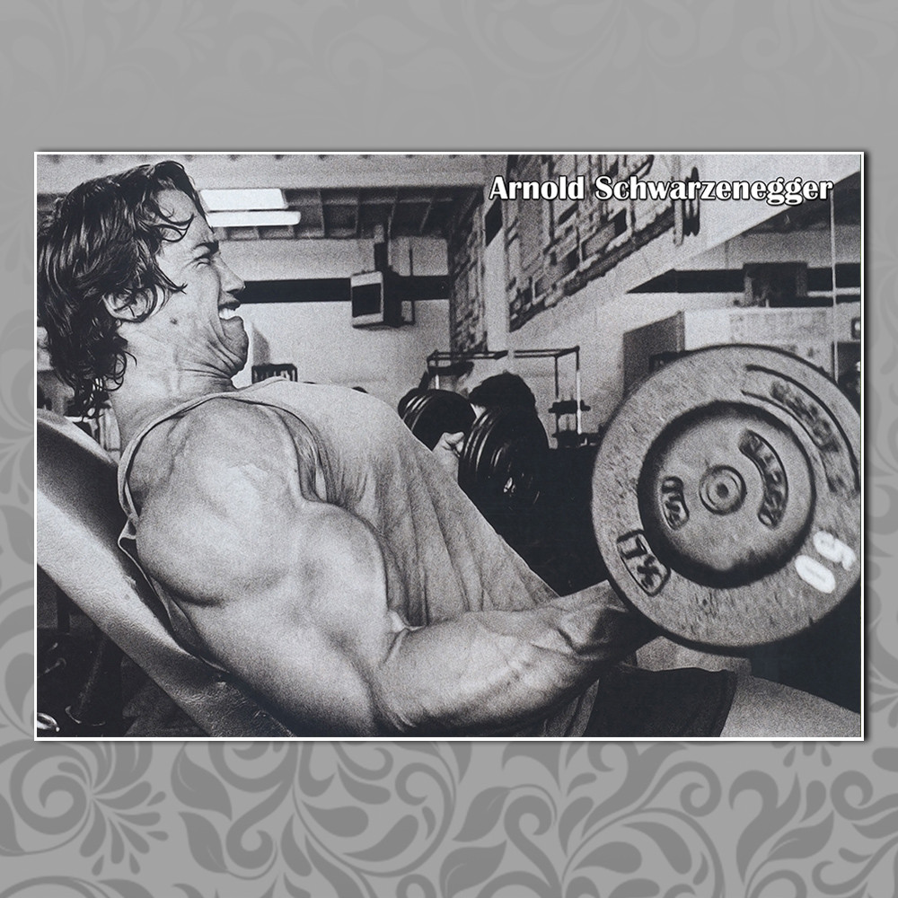 Плакат А3 Арнольд Шварценеггер 018, фото 1