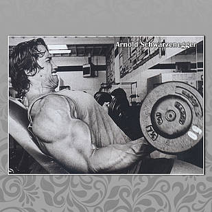 Плакат А3 Арнольд Шварценеггер 018