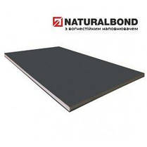 АКП NATURALBOND 4 mm Г-1, фото 3