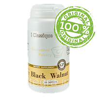 Black Walnut (100) Блек Валнут / Черный, Грецкий орех Сантегра - Santegra