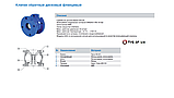 Клапан зворотний фланцевий підпружинений GENEBRE Ду250, фото 2