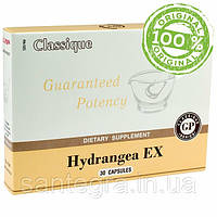 Hydrangea EX (30) Хайдренджі Екс Корінь гортензії Герттензія Сантегра — Santegra